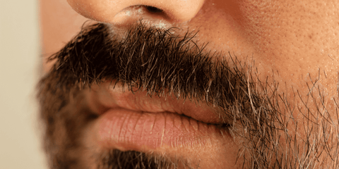 Dry Beard: Causes, Treatment, and Prevention - Beard Beasts