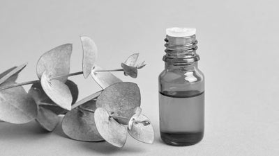 mall amber bottle with eucalyptus oil next to fresh eucalyptus leaves - Featured Image for BeardBeasts' Article on Eucalyptus Oil for Beard Care and Growth