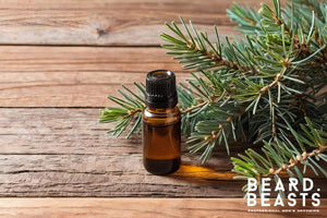 Cedarwood oil for beard growth with cedar branches.