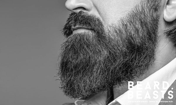 Close-up of a well-groomed full beard and mustache on a man in a collared shirt, representing the goal of avoiding common beard grooming mistakes.