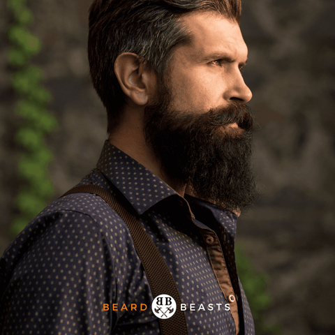 Beard Grooming Tips 101 - Beard Beasts