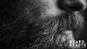 Close-up of coarse beard hair showing thick strands and rugged texture, illustrating natural strength and structure.