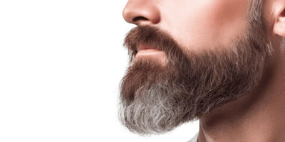 Comprehensive Guide to Conquer Dry Flaky Skin Under Beard: Causes, Care, and Consistency - Beard Beasts