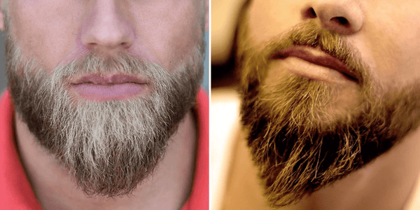 Ducktail Beard: The Ultimate Guide to Styles, and Maintenance - Beard Beasts