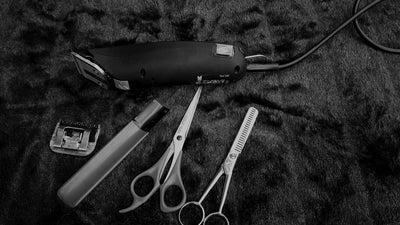 Professional hair clippers, ready for a precise number 5 buzz cut hairstyle.