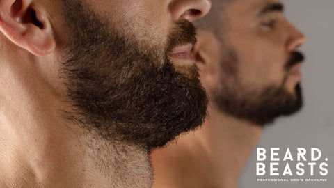 How To Maintain Your Neckline When Growing a Beard - Beard Beasts