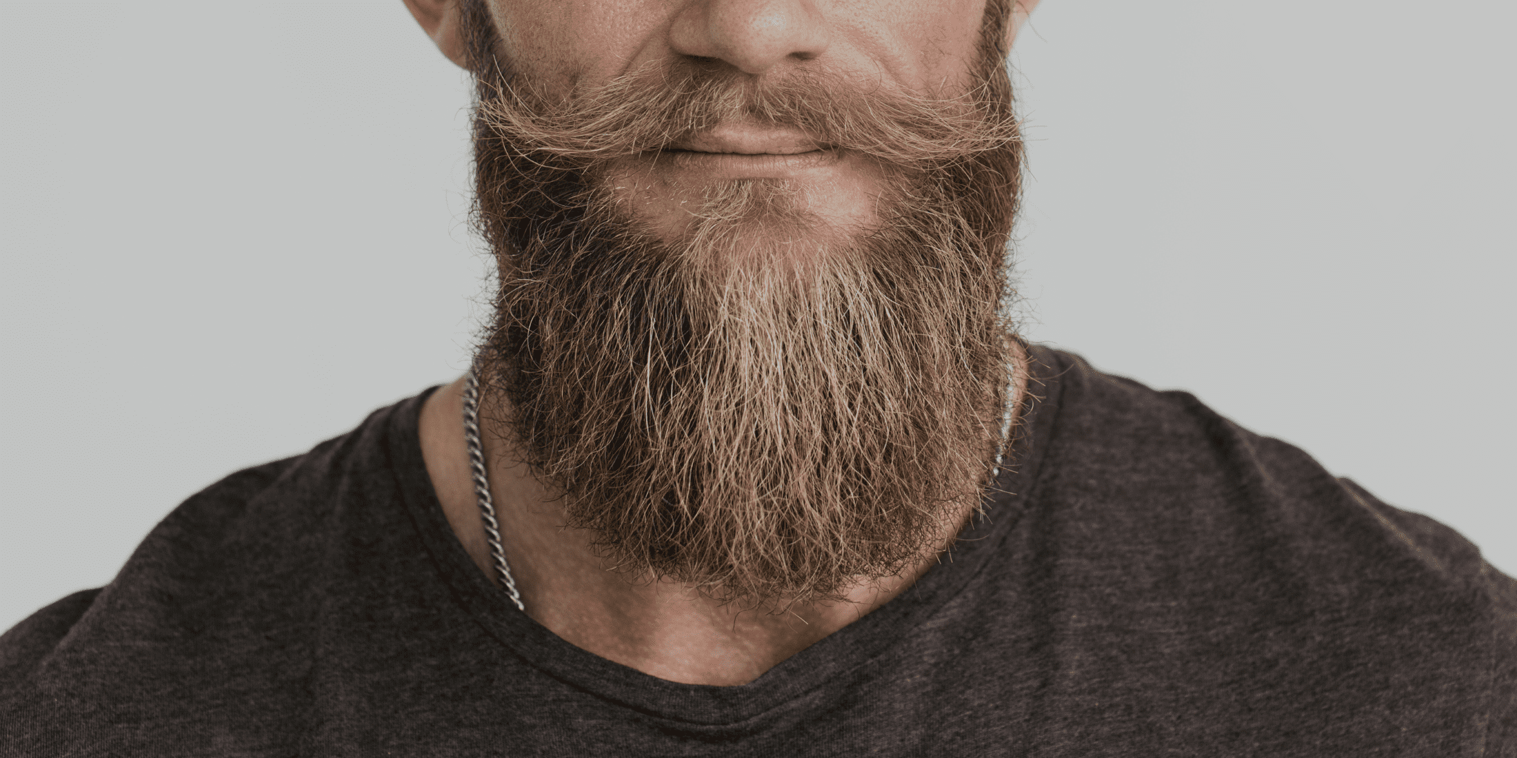 How to Make Your Beard Soft Expert Tips for a Softer Beard Beard Beasts