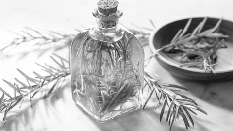 Rosemary Oil For Beard Growth - Beard Beasts